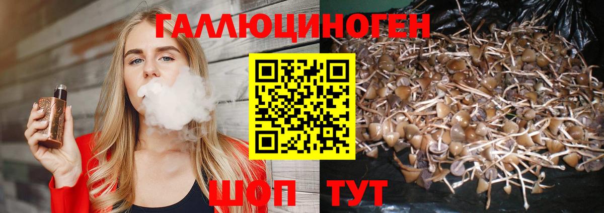 Псилоцибиновые грибы Magic Shrooms Кушва