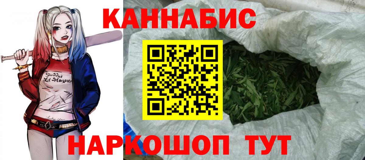 Конопля сатива Кушва